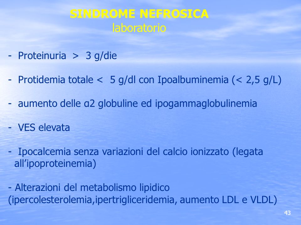 Glomerulonefriti Ppt Scaricare